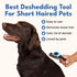 Deshedding Brush for Short Haired Dogs & Cats, Highly Effective Grooming Comb for Shedding Short Hair
