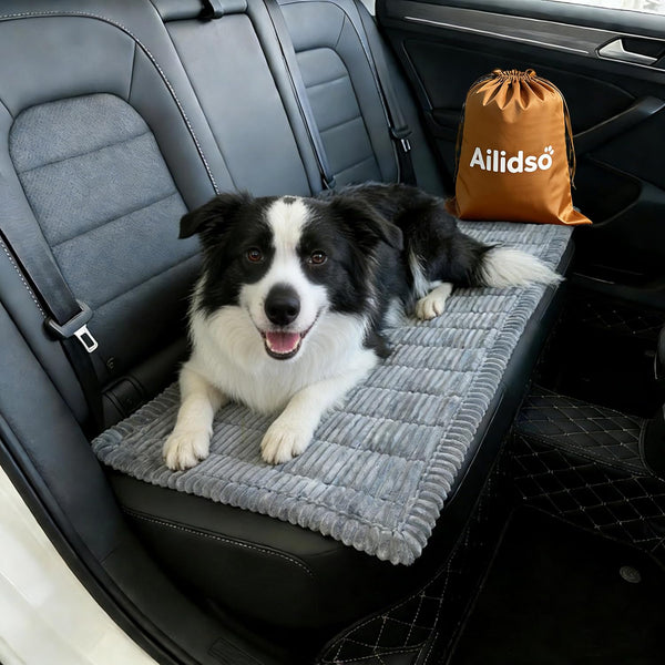 Dog Car Seat Cover, Pet Couch Covers for Car and Sofa, Non-Slip