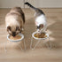 2-Pack Ceramic Raised Cat Bowls for Food and Water, Elevated Dishes with Stand, Dishwasher Safe