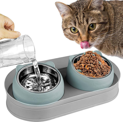 Elevated Cat Food Bowls - Raised Stainless Steel Bowls with Stand, Anti Vomiting, Double Bowl Set (Grayblue)