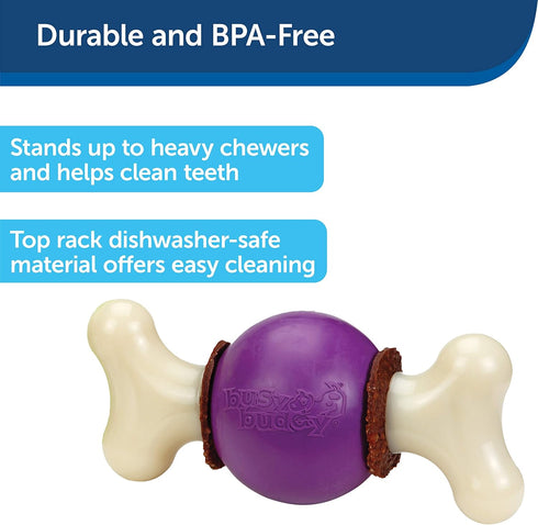 PetSafe Busy Buddy Bouncy Bone Dog Toy - Treat-Holding for Aggressive Chewers, M/L