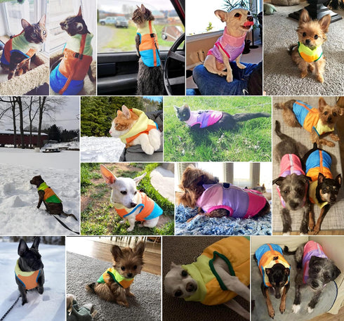 Idepet Pet Dog Cat Coat with Leash Anchor, Color Patchwork Padded Puppy Vest Jacket, Medium (Pack of 1), Green