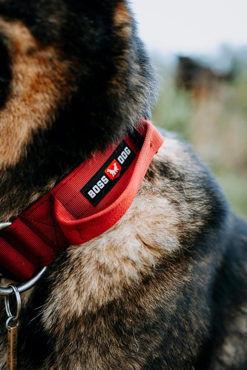 Boss Dog Tactical Collar, Red, Large
