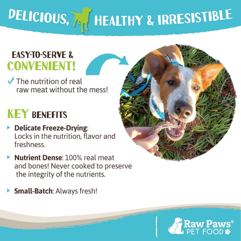 Raw Paws Freeze-Dried Chicken Necks for Dogs & Cats, 4-Ounce, Made in USA
