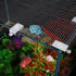 Aquarium Anti-Jump Net, Escape-Proof Fish Screen Replacement for Tank Covering
