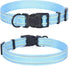 Mile High Life Nylon Night Light Glow Collar, Reflective Light Up Dog Collar for Small Medium Large Dogs (Blue, XS)