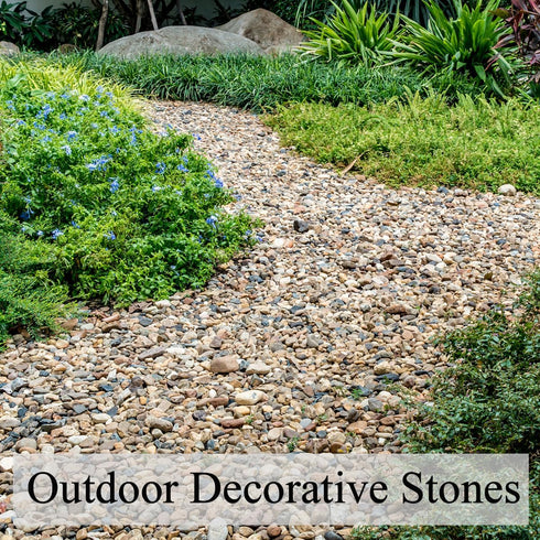 5lbs Aquarium Gravel, Pea Gravel for Indoor Plants, 1/4 Inch Decorative River Rocks for Fish Tank