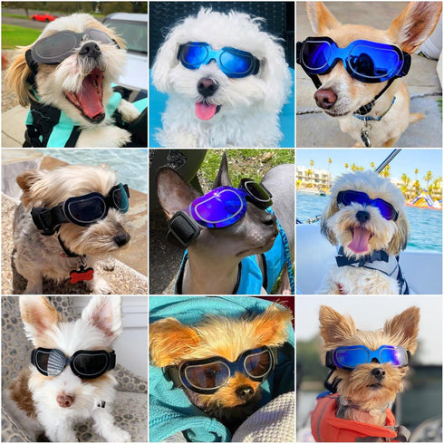 NAMSAN Dog Goggles for Small Breeds, Anti-UV Sunglasses with Elastic Straps for Eye Protection
