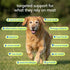 12-in-1 Immune 30 Native Pet Senior Daily Dog Vitamins & Supplements Dog Multivitamin Powder for Senior Dogs Supports