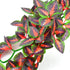 3 KATUMO Reptile Plants, PCS Amphibian Hanging Plants with Suction Cup for Snake, Bearded Dragons, Lizards, Geckos