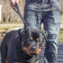 Coastal Pet Double-Ply Dog Traffic Leash, Black, 1" x 24" - Durable for Vet Visits