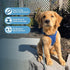 Voyager Step-in Air All Weather Mesh Harness and Reflective Dog Leash Combo 5 ft, Neoprene Handle, Royal Blue, L