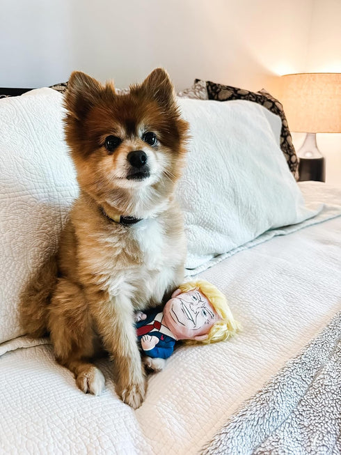 8" Plush Donald Trump Squeak Dog Toy - Hilarious Political Chew Toy for Dogs & Cats, Perfect for Fetching & Cuddling