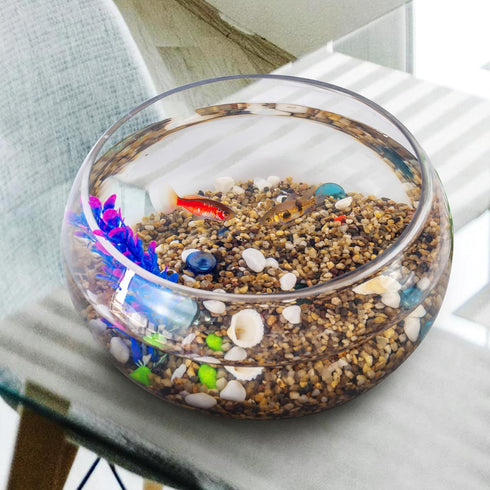 5 lbs Aquarium Gravel, 2-4mm Fish Tank Gravel, Succulent Cactus Pea Gravel for Indoor Plants
