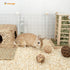Chinchilla (30L 8mm) Niteangel Aspen Shaving Hamster Beddings for Syrian Dwarf Hamster Gerbil Mice Degu Rat Rabbit