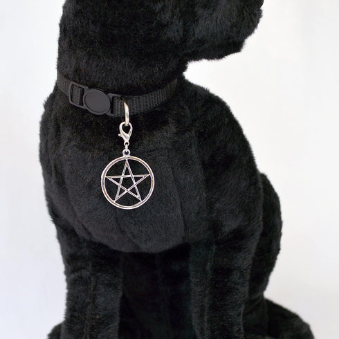 Black Cat Collar with Wiccan Pagan Pentacle, Silver Finish on Safety Breakaway Collar, Adjustable Neck Size