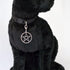 Black Cat Collar with Wiccan Pagan Pentacle, Silver Finish on Safety Breakaway Collar, Adjustable Neck Size