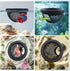 Obfuscate Hammock Floating Betta Hide Shrimp Cave, Multi Functional Betta Fish and Feeding Rings, Provide Safe Resting