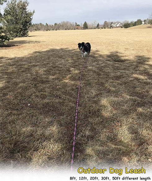 BTINESFUL Dog Tie-Out Long Tether Rope, 8ft/12ft/20ft/30ft/50ft/75ft, Outdoor Leash for Large Medium Small Dogs