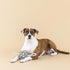 Fringe Studio "Pulling You in Odette Olive 3D Canvas Dog Toy with Tuggable Rope, PetShop Collection