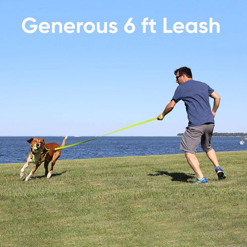 Pawtitas 6 FT Heavy Duty Dog Training Leash, Reflective Threads, Comfortable Handle, Small Dog Red Leash