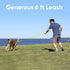 Pawtitas 6 FT Pet Puppy Leash Reflective Dog Leash Comfortable Handle Highly Reflective Threads Heavy Duty Dog Training Leash Available as a 6 ft Small Dog Teal Leash