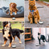 JEXCULL 2 Pack Communication Pet Training Bells, Dogs Bell for Door Potty Training and to Ring to Go Outside Device Dog