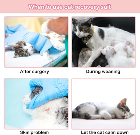 PUMYPOREITY Cat Recovery Onesie for Surgery, Kitten Recovery Suit for Neutered Wounds, Size L, Pink