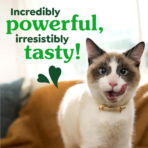Veterinarian-Recommended 21 oz. Greenies Cat Treats, Feline Adult Natural Dental Cat Treats, Oven Roasted Chicken