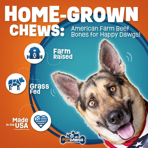 Single Ingredient Dog Bones, 8 Piece Pack - Made in USA Beef Femur Bones for Aggressive Chewers