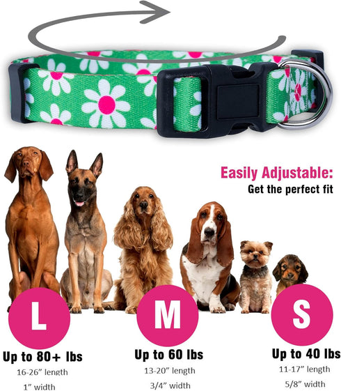 Native Pup Flower Dog Collar, Adjustable Medium, Cute Pink Floral Blue Daisy Rose, Summer Spring Essentials