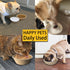 JETKONG 28 oz/3.5 cup Disposable Dog Bowls 50pk, 100% Compostable Paper Feeding Bowls for Dry and Wet Food