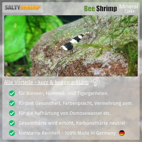 110g Salty Shrimp Bee Shrimp Mineral GH+