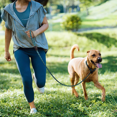 TwoEar Dog Leash Slip Lead - 1/2" x 6FT Reflective Durable Training Leash for Medium & Large Dogs, Blue