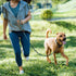 TwoEar Dog Leash Slip Lead - 1/2" x 6FT Reflective Durable Training Leash for Medium & Large Dogs, Blue