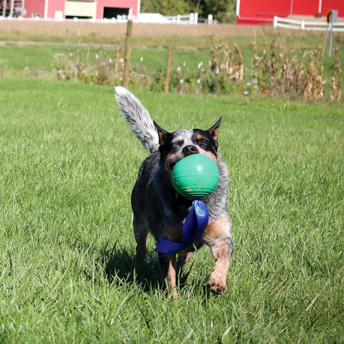 PetKORE 4.75", : KoreFlex Ball & Tail - Green, Dog Toy, Shape Maintaining Rubber, Durable Strap, Treat Stuffing Center