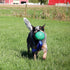 PetKORE 4.75", : KoreFlex Ball & Tail - Green, Dog Toy, Shape Maintaining Rubber, Durable Strap, Treat Stuffing Center