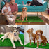 Alckijy 32" 24" Pee Pads for Dogs with Fake Grass, x Indoor Artificial Grass for Dogs Potty, Lawn Pee Pads for Doggie