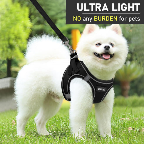 GAMUDA Small Dog Harness Collar and Leash Set - Step in No Choke No Pull Soft Mesh Vest (Black, S)