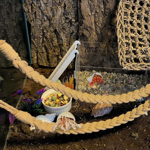 (6pcs kathson Snake Climbing Toys, Corn Snake Enrichment Toys Rope Ladder, Hermit Crab Climbing Toy Reptile Tank