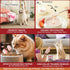 Globalpaw Strawberry100g (3.52oz), 1pcs) Freeze Dried Yogurt Dog Cats Treats Crunchy Snacks with High Protein Yogurts