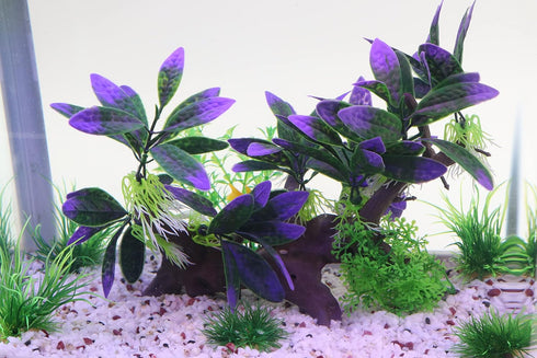 AQUA KT Aquarium Landscape Simulation Artificial Plant Purple, Plastic Plant for Fish Tank Decoration, Aquatic Water Plant, Fish Bowl Ornament by AQUA KT