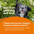Immune 60ct Zesty Paws Senior Dog Multivitamin Treats - Glucosamine for Dogs + Digestive Enzymes & Probiotics - Grain