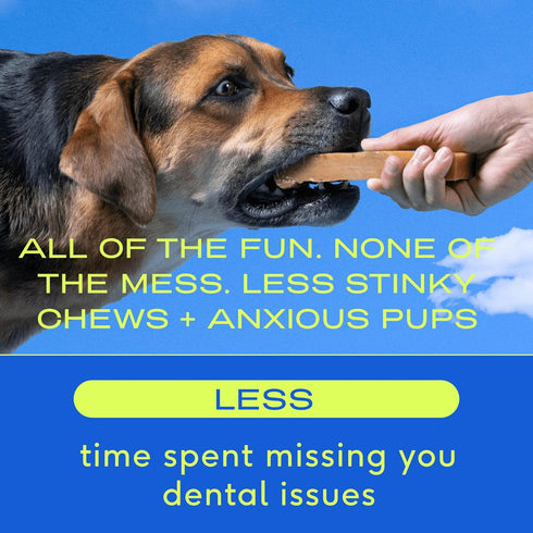 Native Pet Yak Chews - Long Lasting Dog Treats, Flavored Chews for Aggressive Chewers (15 Small Chews)