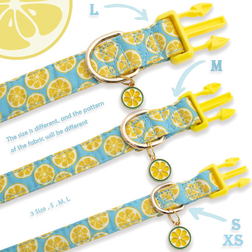 Faygarsle Cute Dog Collar with Lemon Design, Ideal Yellow Green Summer Collar for Small Medium Large Dogs (L)
