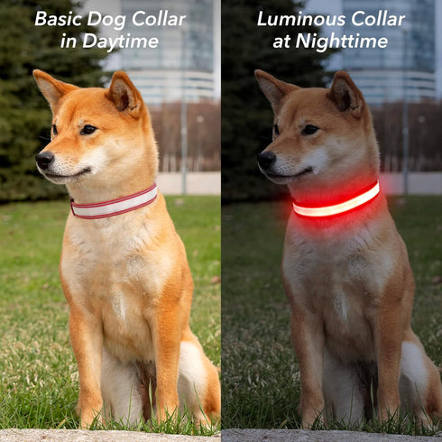 Reflective LED Light Up Dog Collar, Adjustable Rechargeable Waterproof Glow Collar for Large Medium Dogs