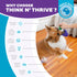Outward Hound Dental Grapes Dental Chew Toy, Interactive Treat Stuffer, Medium, Purple