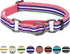 Blueberry Pet 3M Reflective Multi-Colored Stripe Martingale Safety Training Dog Collar, Small, Pink Emerald Orchid