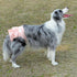 3 Pack Reusable Dog Diapers Female Washable Highly Absorbent Doggie Diapers, Flexible Doggy Diapers Female, Leak-Proof