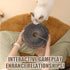 Magic Organ Cat Toy - 1PC Scratching Board with Bell, Foldable Magnetic Corrugated Paper Cat Accordion Toy for Cat